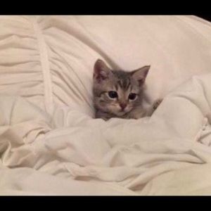 Meet your Posher, Erika